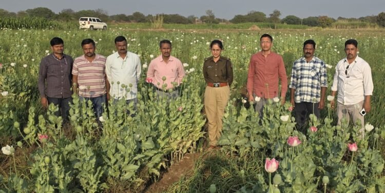 अफू लागवड प्रकरणी समाधान उघडे यांची शिवसेनेतून हकालपट्टी