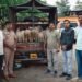 चालत्या ट्रकमधून मेंढ्या पळवणाऱ्यांचा डाव फसला; धाराशिव पोलिसांकडून अवघ्या २४ तासांत मुद्देमाल जप्त