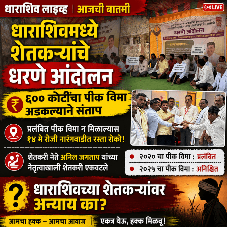 धाराशिवमध्ये शेतकऱ्यांचे धरणे आंदोलन; ६०० कोटींचा पीक विमा अडकल्याने संताप