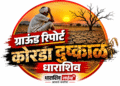 धाराशिव जिल्ह्यात भीषण कोरडा दुष्काळ; हक्काच्या पीक विम्याचे कोट्यवधी रुपये अडकल्याने बळीराजा संकटात