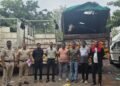 वाशी महामार्गावर एलसीबीची मोठी कारवाई; दोन पिकअपमधून गोमांस अन् आयशरमधून १३ जर्सी गायींची वाहतूक पकडली
